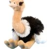 Wild Republic 12251 Vogel Strauss Ca. 30cm Plüsch Mit Öko-Füllung -Nici || Wild Republic || Depesche Verkäufe 12251 CK Ostrich