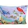 Wild Republic 26137 Kissen Rechteckig Vögel 43x28 Cm Plüsch -Nici || Wild Republic || Depesche Verkäufe 26137 Pillow L Bird kk