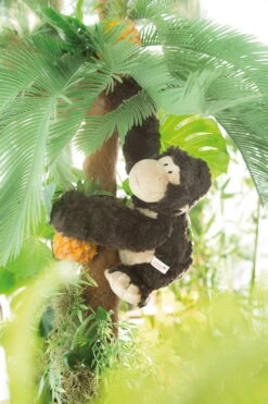 Nici 41697 Gorilla Torben Sitzend Ca 30cm Mit Trommelbrust Plüsch In Geschenkbox -Nici || Wild Republic || Depesche Verkäufe 41697 03 Millieu 1365x2048