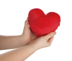 Nici 44427 Love Bär Schwester Rosa Wendeplüsch Bär In Herzkissen Ca 20cm -Nici || Wild Republic || Depesche Verkäufe 44427 07 ZA Frei 2048x1741