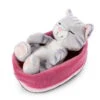 Nici 47144 Sleeping Kitties Schlafende Katze Im Körbchen 16cm Plüsch Grau -Nici || Wild Republic || Depesche Verkäufe 47144 01 HA Frei 2048x1752