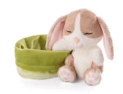 Nici 48709 Sleeping Pets Bunnies Hase Cappuccino 12cm Schlafend Im Körbchen Grün -Nici || Wild Republic || Depesche Verkäufe 48709 03 ZA Frei 2048x1562