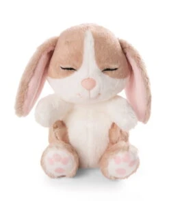 Nici 48709 Sleeping Pets Bunnies Hase Cappuccino 12cm Schlafend Im Körbchen Grün -Nici || Wild Republic || Depesche Verkäufe 48709 04 ZA Frei 1726x2048