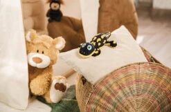 Nici 48780 Salamander Don Fuego Ca 25cm Plüsch Kuscheltier GREEN Classic Bear 13 Nici 48780 Salamander Don Fuego Ca 25cm Plüsch Kuscheltier GREEN Classic Bear -Nici || Wild Republic || Depesche Verkäufe 48775 14 48782 Milieu 2048x1342