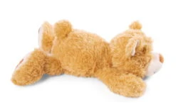 Nici 48783 Bär Mielo Ca 50cm Liegend Plüsch Kuscheltier GREEN Classic Bear -Nici || Wild Republic || Depesche Verkäufe 48777 03 ZA Frei 2048x1313