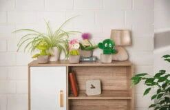 Nici 48941 Kaktus Pflanze Henriette 18cm Plüschfigur GREEN Funny Flowers -Nici || Wild Republic || Depesche Verkäufe 48941 11 Milieu 48942 48943 48944 Milieu me 1