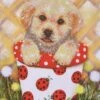 Diamond Dotz Diamantbilder - Hunde Welpe Im Topf Ca. 38x50 Cm -Nici || Wild Republic || Depesche Verkäufe 63461393 1 2 4897073243627 H