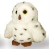 Wild Republic 88119 Pocketkins Schneeeule Snow Owl Ca 12cm Plüsch 1 Wild Republic 88119 Pocketkins Schneeeule Snow Owl Ca 12cm Plüsch -Nici || Wild Republic || Depesche Verkäufe 88119 Schneeeule